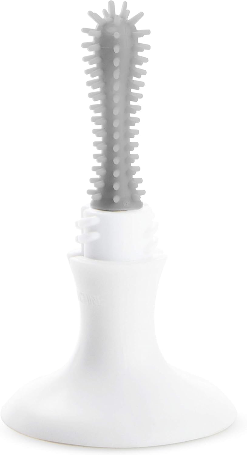 Munchkin Bristle Bottle Brush, bristle provide cleaner bottler, easy cleaning, with detachable teats cleaning brush, clean bottle for safe feed, Infant/Baby/Toddler/Kids, Color-Grey — الصورة 4 من 6