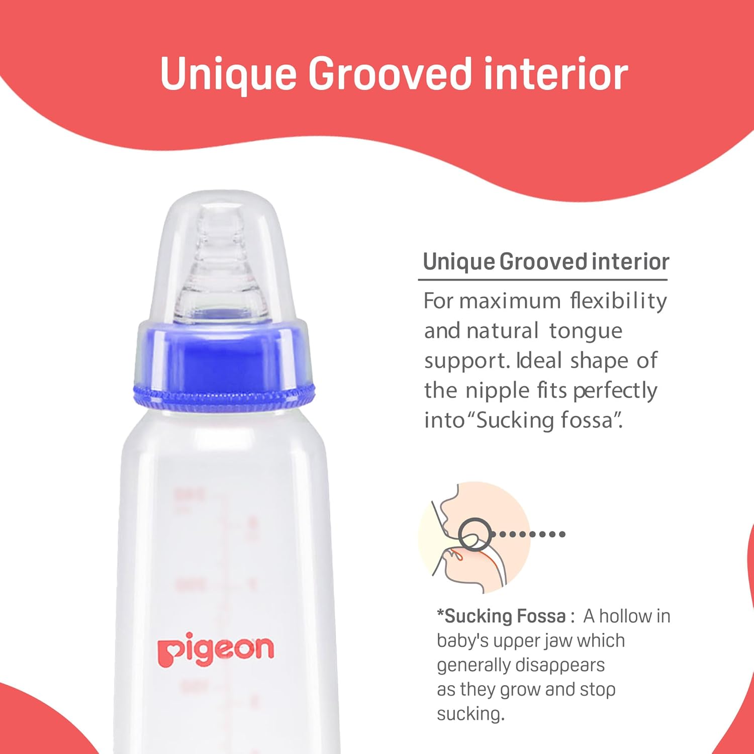 Pigeon Peristaltic Baby Nursing/Feeding Bottle KPP Nipple L,For 9+ Month Babies,BPA Free,BPS Free,Blue and White,240 ml,Pack of 2 — الصورة 4 من 6